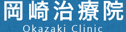 okazaki-chiryouin.com
